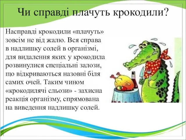 Чи справді плачуть крокодили? Насправді крокодили «плачуть» зовсім не від жалю.