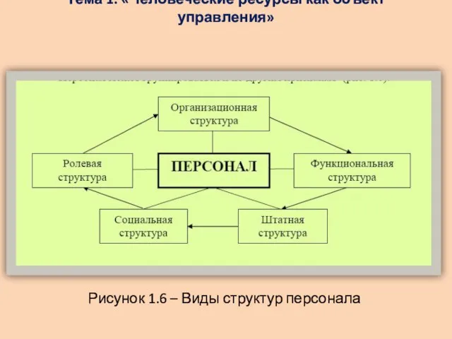 Тема 1: «Человеческие ресурсы как объект управления» Рисунок 1.6 – Виды структур персонала