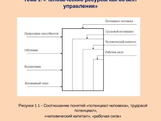 Тема 1: «Человеческие ресурсы как объект управления» Рисунок 1.1 – Соотношение