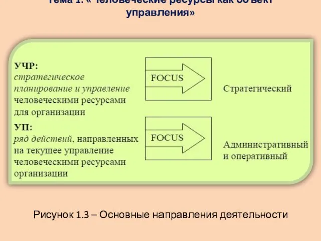 Тема 1: «Человеческие ресурсы как объект управления» Рисунок 1.3 – Основные направления деятельности