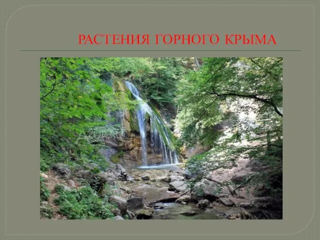 РАСТЕНИЯ ГОРНОГО КРЫМА