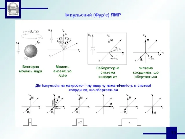 Імпульсний (Фур’є) ЯМР Векторна модель ядра Модель ансамблю ядер Лабораторна система