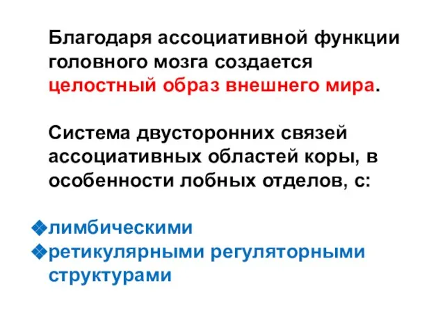 Благодаря ассоциативной функции головного мозга создается целостный образ внешнего мира. Система