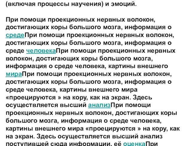 "Интегративными" называются такие функции ЦНС, которые не связаны непосредственно с обработкой