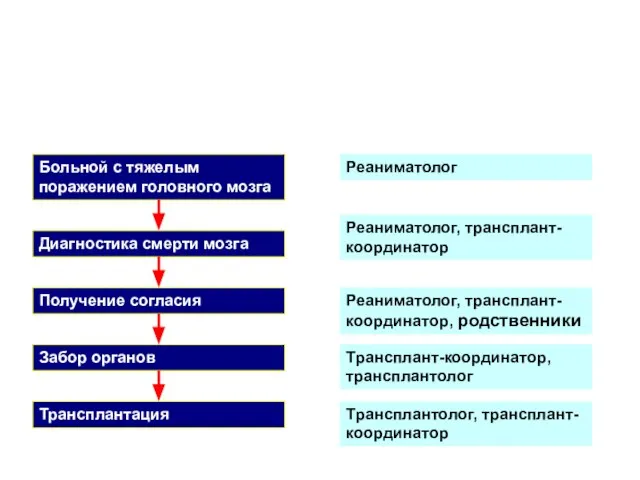 Больной с тяжелым поражением головного мозга Диагностика смерти мозга Забор органов