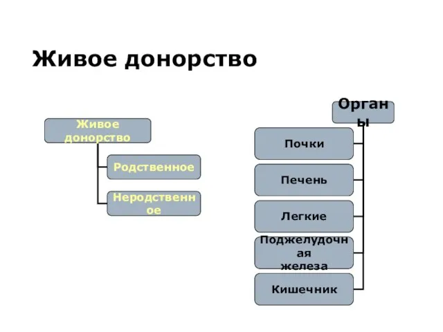 Живое донорство