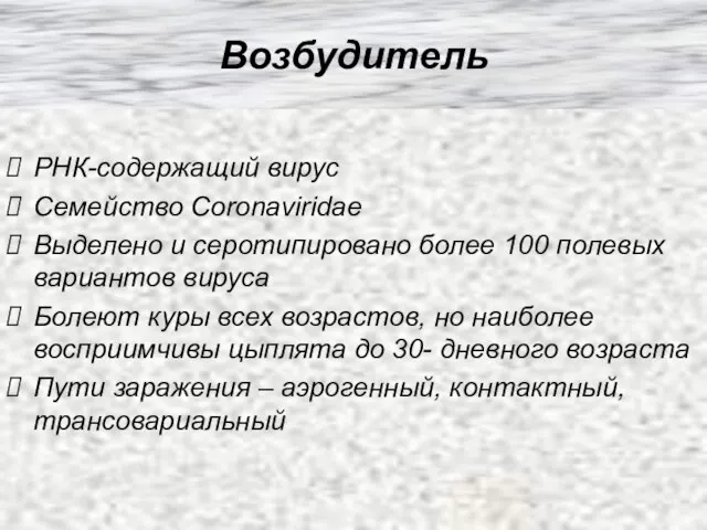 Возбудитель РНК-содержащий вирус Семейство Coronaviridae Выделено и серотипировано более 100 полевых