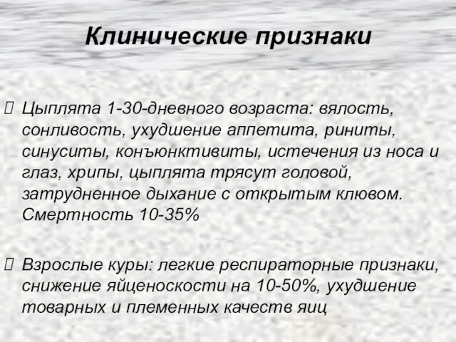 Клинические признаки Цыплята 1-30-дневного возраста: вялость, сонливость, ухудшение аппетита, риниты, синуситы,