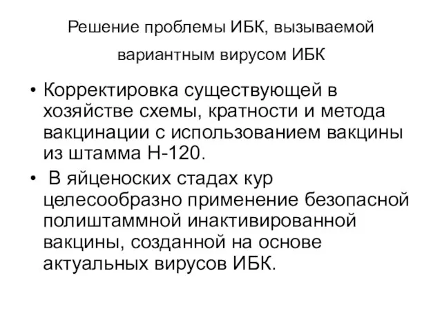 Решение проблемы ИБК, вызываемой вариантным вирусом ИБК Корректировка существующей в хозяйстве