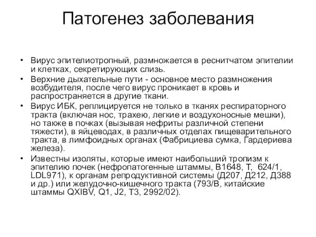 Патогенез заболевания Вирус эпителиотропный, размножается в реснитчатом эпителии и клетках, секретирующих