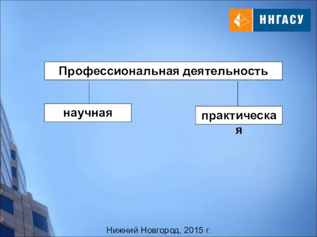 Нижний Новгород, 2015 г. Профессиональная деятельность научная практическая