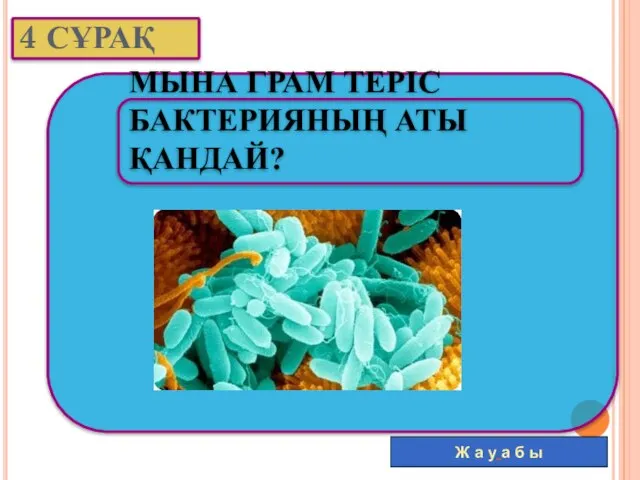 4 СҰРАҚ Ж а у а б ы МЫНА ГРАМ ТЕРІС БАКТЕРИЯНЫҢ АТЫ ҚАНДАЙ?