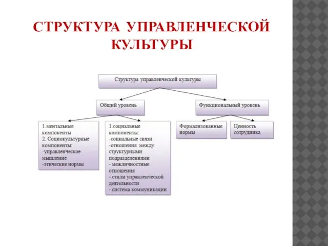 СТРУКТУРА УПРАВЛЕНЧЕСКОЙ КУЛЬТУРЫ