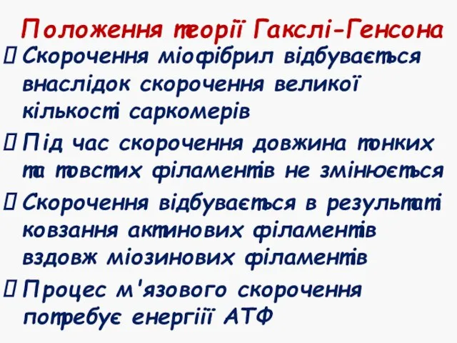 Положення теорії Гакслі-Генсона Скорочення міофібрил відбувається внаслідок скорочення великої кількості саркомерів