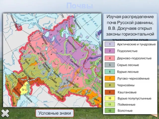 Почвы Изучая распределение почв Русской равнины, В.В. Докучаев открыл законы горизонтальной