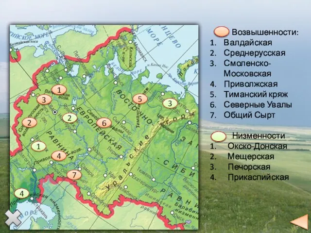 Возвышенности: Валдайская Среднерусская Смоленско-Московская Приволжская Тиманский кряж Северные Увалы Общий Сырт