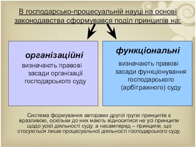 В господарсько-процесуальній науці на основі законодавства сформувався поділ принципів на: організаційні