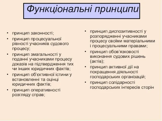 Функціональні принципи принцип законності; принцип процесуальної рівності учасників судового процесу; принцип