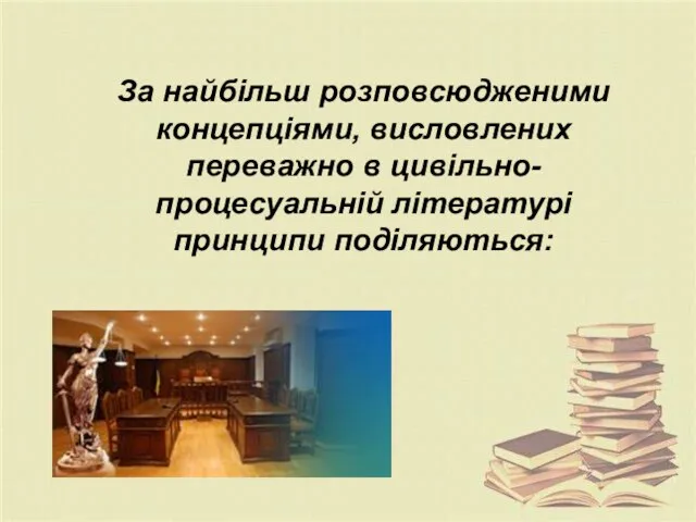 За найбільш розповсюдженими концепціями, висловлених переважно в цивільно-процесуальній літературі принципи поділяються: