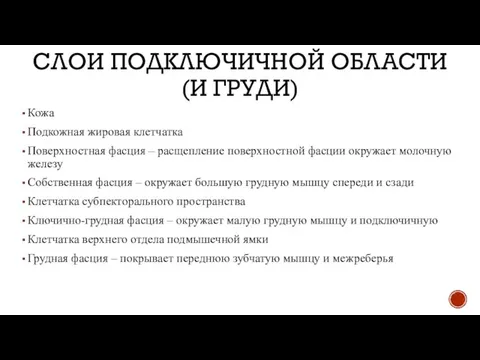 СЛОИ ПОДКЛЮЧИЧНОЙ ОБЛАСТИ (И ГРУДИ) Кожа Подкожная жировая клетчатка Поверхностная фасция