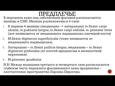 ПРЕДПЛЕЧЬЕ В переднем ложе под собственной фасцией располагаются мышцы и СНП.