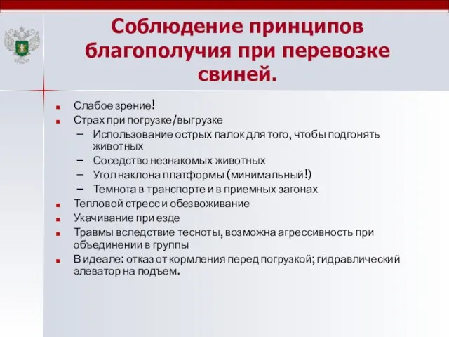 Соблюдение принципов благополучия при перевозке свиней. Слабое зрение! Страх при погрузке/выгрузке