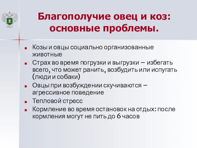 Благополучие овец и коз: основные проблемы. Козы и овцы социально организованные