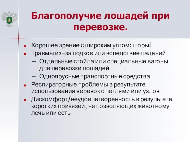 Благополучие лошадей при перевозке. Хорошее зрение с широким углом: шоры! Травмы