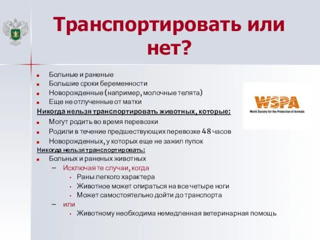 Транспортировать или нет? Больные и раненые Большие сроки беременности Новорожденные (например,