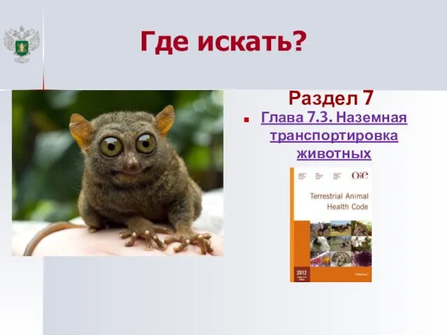 Где искать? Раздел 7 Глава 7.3. Наземная транспортировка животных