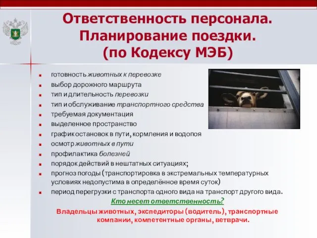 Ответственность персонала. Планирование поездки. (по Кодексу МЭБ) готовность животных к перевозке