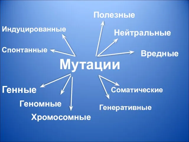 Мутации Полезные Нейтральные Вредные Соматические Генеративные Спонтанные Индуцированные Генные Хромосомные Геномные