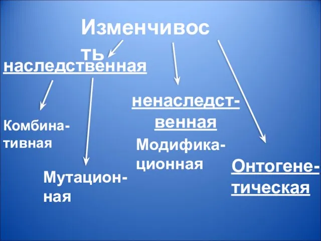 Изменчивость наследственная ненаследст- венная Комбина- тивная Мутацион- ная Модифика- ционная Онтогене-тическая