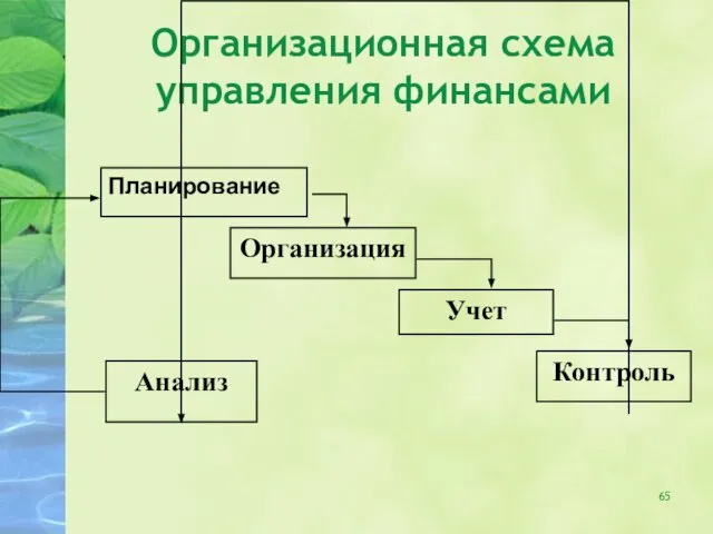 Организационная схема управления финансами