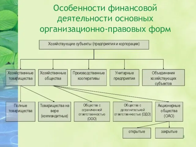 Особенности финансовой деятельности основных организационно-правовых форм