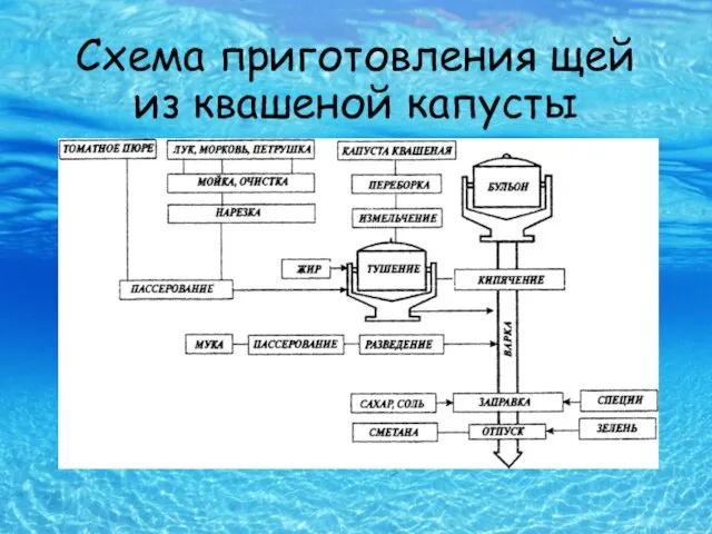 Схема приготовления щей из квашеной капусты