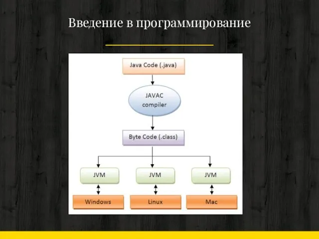 Введение в программирование