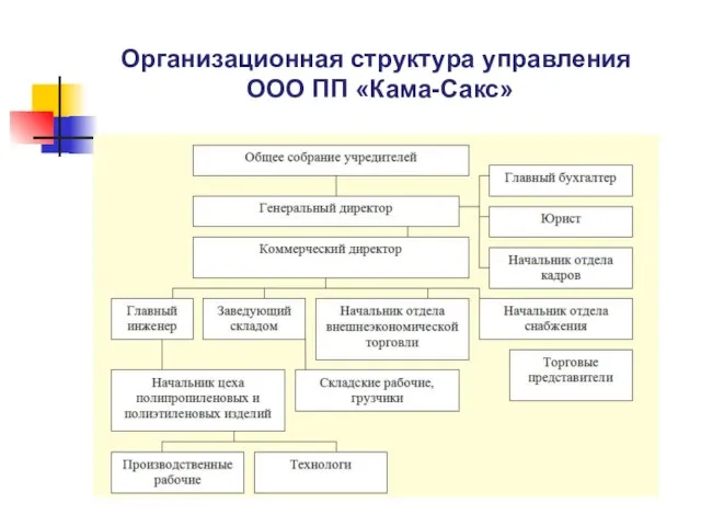 Организационная структура управления ООО ПП «Кама-Сакс»