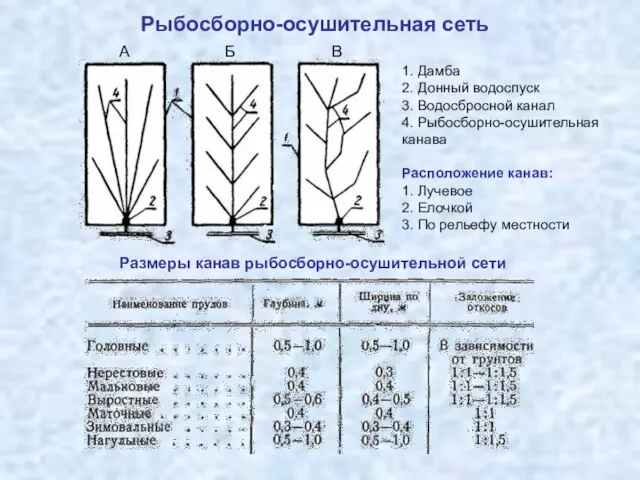 Рыбосборно-осушительная сеть