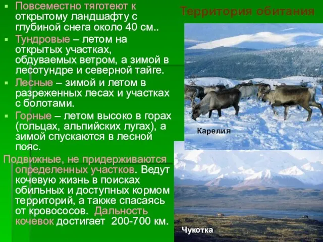 Территория обитания Повсеместно тяготеют к открытому ландшафту с глубиной снега около