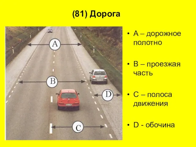 (81) Дорога A – дорожное полотно B – проезжая часть C