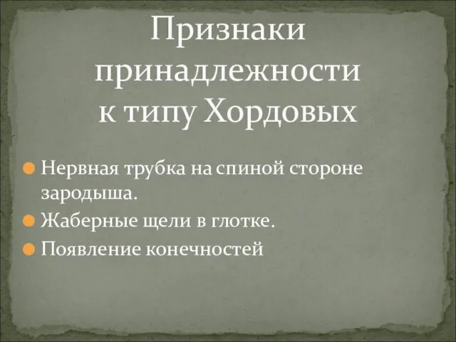 Нервная трубка на спиной стороне зародыша. Жаберные щели в глотке. Появление