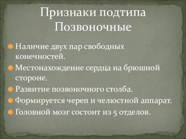 Наличие двух пар свободных конечностей. Местонахождение сердца на брюшной стороне. Развитие