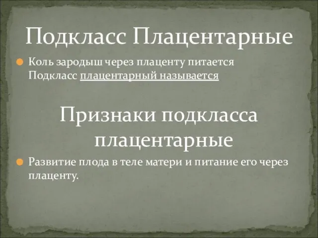 Коль зародыш через плаценту питается Подкласс плацентарный называется Признаки подкласса плацентарные