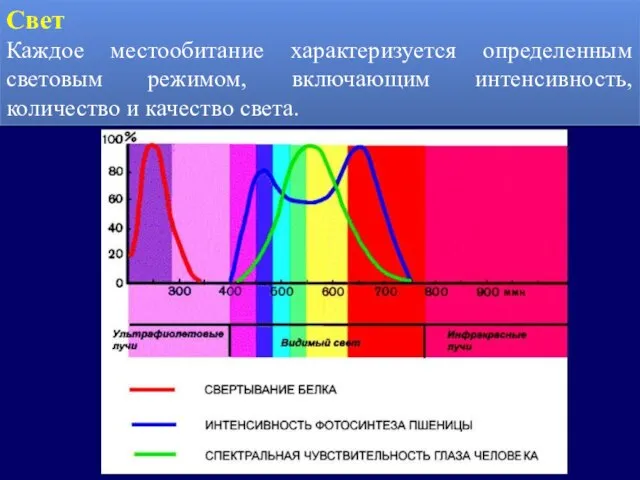 Свет Каждое местообитание характеризуется определенным световым режимом, включающим интенсивность, количество и качество света.