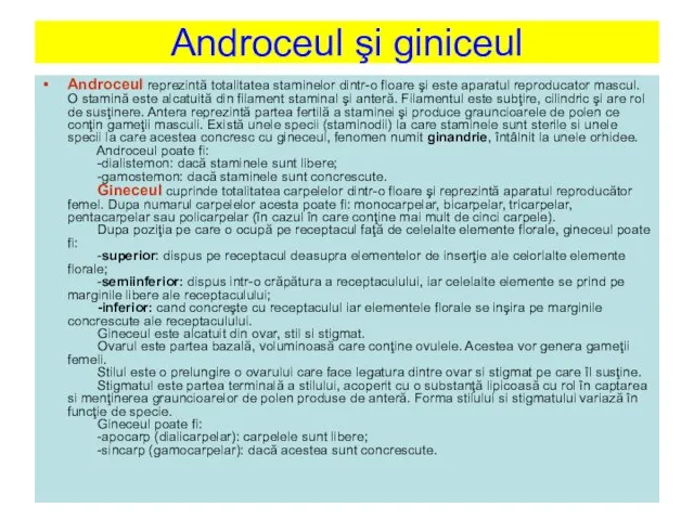 Androceul şi giniceul Androceul reprezintă totalitatea staminelor dintr-o floare şi este