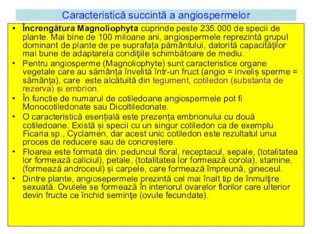 Caracteristică succintă a angiospermelor Încrengătura Magnoliophyta cuprinde peste 235.000 de specii