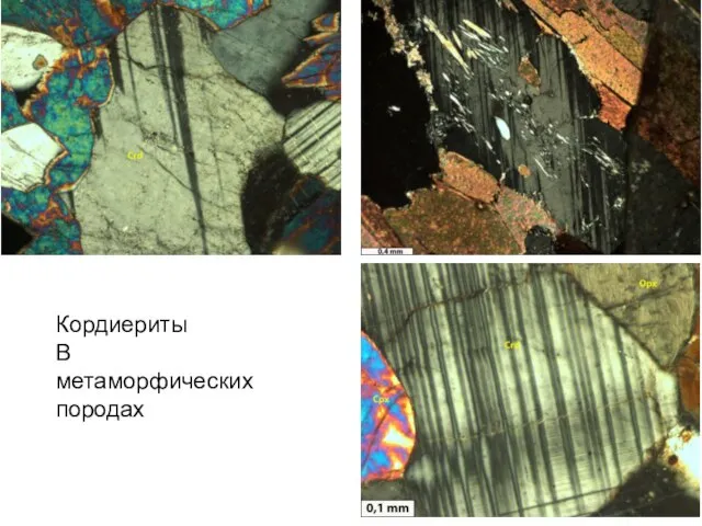 Кордиериты В метаморфических породах