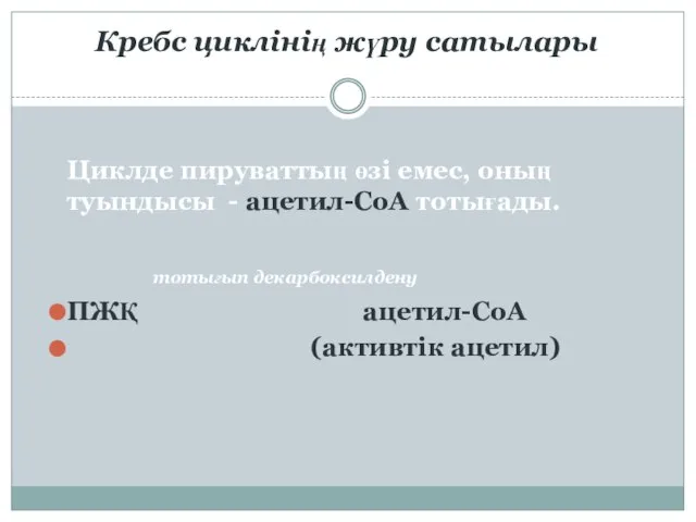 Кребс циклінің жүру сатылары Циклде пируваттың өзі емес, оның туындысы -