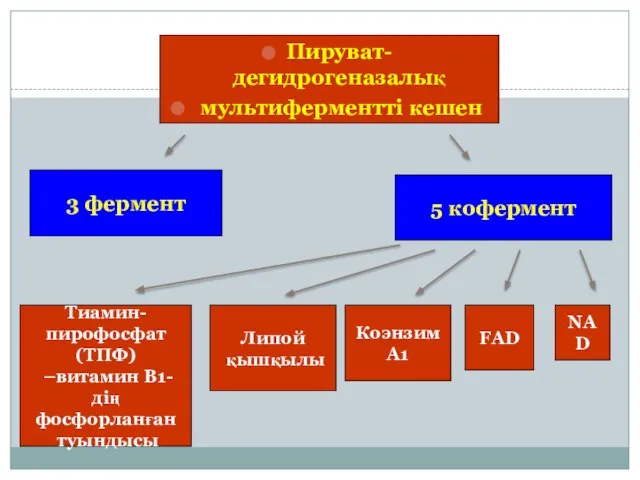 Пируват-дегидрогеназалық мультиферментті кешен 3 фермент 5 кофермент Тиамин- пирофосфат (ТПФ) –витамин